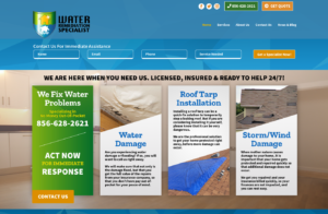website launch, seo, ppc, sem, content, blogging, social media, marketing